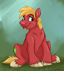 Size: 879x980 | Tagged: safe, artist:spainfischer, big macintosh, earth pony, pony, g4, male, missing accessory, solo, soul patch, stallion