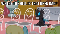 Size: 1000x562 | Tagged: safe, edit, edited screencap, screencap, daisy, flower wishes, kevin, sassaflash, changeling, g4, my little pony: friendship is magic, slice of life (episode), image macro, meme