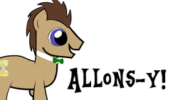 Size: 1920x1080 | Tagged: safe, doctor whooves, time turner, pony, g4, slice of life (episode), allons-y, bowtie, french, male, simple background, solo, stallion, white background