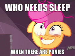 Size: 845x635 | Tagged: safe, scootaloo, g4, my little pony: friendship is magic, sleepless in ponyville, bloodshot eyes, exploitable meme, image macro, insomnia, meme, time for ponies, tired, who needs sleep anyway