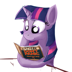 Size: 800x800 | Tagged: dead source, safe, artist:cheshiresdesires, twilight sparkle, g4, book, don't panic, female, hitchhiker's guide to the galaxy, reading, solo