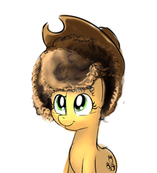 Size: 1000x1100 | Tagged: safe, artist:cheshiresdesires, applejack, g4, afro, afrojack, alternate hairstyle, cowboy hat, female, hat, looking up, sitting, smiling, solo, stetson