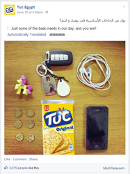 Size: 505x674 | Tagged: safe, flippity flop, arabic, blind bag, coin, crackers, earbuds, egypt, facebook, food, iphone, irl, key, photo, toy, tuc