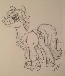 Size: 1024x1191 | Tagged: safe, artist:lauren faust, oc, oc only, oc:timmo pony, lineart, monochrome, solo, traditional art