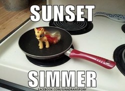 Size: 490x359 | Tagged: safe, sunset shimmer, pony, g4, brushable, frying pan, image macro, irl, meme, photo, ponies in real life, pun, puns in the comments, solo, stove, toy, visual pun