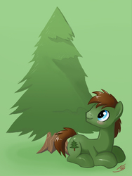 Size: 900x1200 | Tagged: safe, artist:pearlie-pie, oc, oc only, oc:forest, earth pony, pony, solo