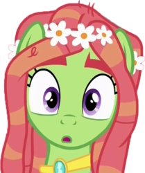 Size: 800x955 | Tagged: safe, tree hugger, g4, make new friends but keep discord, cute, faic, huggerbetes, simple background, solo, surprised, transparent background