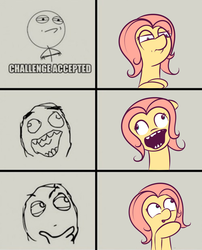 Size: 1042x1287 | Tagged: safe, artist:squiby-327, posey, earth pony, pony, ask posey, g1, ask, challenge accepted, crossed arms, crossed hooves, facial expressions, meme, ponified meme, rage face, text, thinking, tumblr