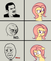 Size: 1042x1251 | Tagged: safe, artist:squiby-327, posey, ask posey, g1, ask, meme, no, okay, ponified meme, rage face, sad, tumblr