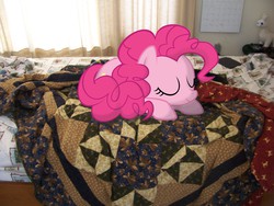 Size: 2832x2128 | Tagged: safe, artist:wolfgangthe3rd, pinkie pie, earth pony, pony, g4, bed, calendar, high res, irl, messy, photo, ponies in real life, sleeping, solo, vector