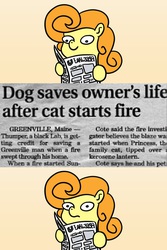 Size: 683x1024 | Tagged: safe, carrot top, golden harvest, earth pony, pony, g4, exploitable meme, female, mare, meme, newspaper, newspaper meme