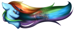 Size: 1024x403 | Tagged: safe, artist:mondlichtkatze, rainbow dash, pony, g4, female, lightning, solo