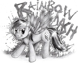 Size: 800x644 | Tagged: safe, artist:stallionslaughter, rainbow dash, g4, female, monochrome, paint, pencil drawing, solo, splat, traditional art