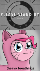 Size: 553x977 | Tagged: safe, artist:icebreak23, pinkie pie, g4, catsuit, countdown, descriptive noise, fallout, fallout 4, female, heavy breathing, hype, meme, reaction image, solo, wide eyes