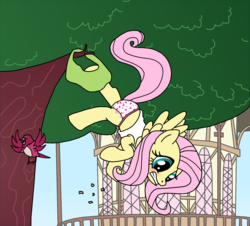 Size: 1821x1643 | Tagged: safe, artist:elephanteddie, fluttershy, bird, g4, blushing, clothes, embarrassed, embarrassed underwear exposure, equestria girls outfit, female, heart, heart print underwear, hung upside down, midriff, panties, skirt, tank top, town hall, underwear, undressing, upside down, wardrobe malfunction, white underwear