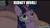 Size: 725x412 | Tagged: safe, screencap, twilight sparkle, alicorn, pony, g4, my little pony: friendship is magic, princess spike, derp, didney worl, female, image macro, mare, meme, solo, twilight sparkle (alicorn)