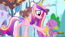 Size: 1757x1003 | Tagged: safe, edit, edited screencap, screencap, princess cadance, spike, g4, princess spike, crown, discovery family logo, duo, eyes closed, female, jewelry, love, male, regalia, ship:spikedance, shipping, smiling, spikelove, straight