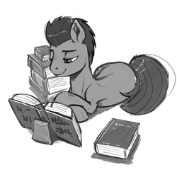 Size: 5000x5000 | Tagged: safe, artist:kevinsano, oc, oc only, oc:theotakux, pony, absurd resolution, book, grayscale, monochrome, solo