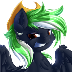 Size: 2000x2000 | Tagged: safe, artist:knifeh, oc, oc only, oc:moonlit ace, pony, high res, male, portrait, solo, stallion