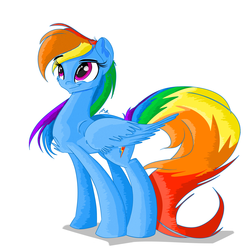 Size: 2750x2750 | Tagged: safe, artist:asimplerarity, rainbow dash, g4, backwards cutie mark, chest fluff, female, high res, simple background, smiling, solo