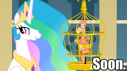 Size: 960x539 | Tagged: safe, screencap, philomena, princess celestia, alicorn, bird, phoenix, pony, g4, birdcage, cage, duo, ethereal mane, female, image macro, mare, meme, soon