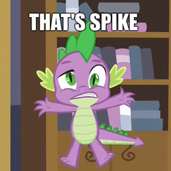 Size: 480x480 | Tagged: safe, screencap, spike, g4, princess spike, captain obvious, image macro, male, meme, solo, that's x