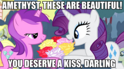 Size: 895x500 | Tagged: safe, edit, edited screencap, screencap, alula, amethyst star, pluto, rarity, sparkler, sugar cookie, pony, g4, my little pony: friendship is magic, simple ways, caption, duo, image macro, implied shipping, meme, out of context, rarithyst, rose