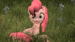 Size: 480x270 | Tagged: safe, artist:ferexes, pinkie pie, g4, 3d, animated, female, grass, implied human, o3o3o, shadow, solo, source filmmaker, worried, youtube link