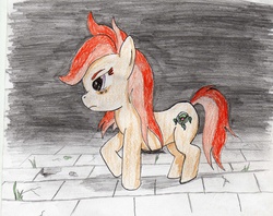 Size: 2455x1940 | Tagged: safe, artist:40kponyguy, derpibooru exclusive, oc, oc only, oc:safe haven, solo, traditional art
