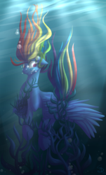 Size: 800x1323 | Tagged: safe, artist:falleninthedark, rainbow dash, g4, air bubble, bubble, drowning, female, holding breath, peril, seaweed, solo, underwater