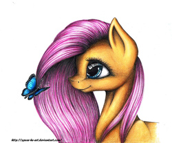Size: 1024x849 | Tagged: safe, artist:spear-he-art, fluttershy, butterfly, g4, bust, female, profile, simple background, solo, traditional art