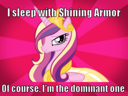 Size: 640x480 | Tagged: safe, artist:lunaticdawn, princess cadance, shining armor, alicorn, pony, g4, female, funny, implied good clean married sex, implied sex, mare, meme, of course, relationship, revealed facts