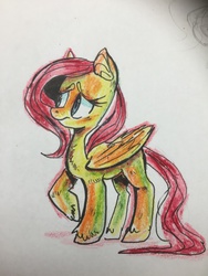 Size: 960x1280 | Tagged: safe, artist:rorakkusu, fluttershy, g4, female, solo, traditional art