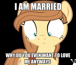 Size: 1192x1020 | Tagged: safe, oc, oc only, oc:cream heart, earth pony, pony, g4, earth pony oc, female, image macro, mare, meme, solo