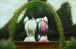 Size: 1500x971 | Tagged: safe, artist:blindcoyote, bon bon, lyra heartstrings, sweetie drops, earth pony, pony, unicorn, adorabon, adventure in the comments, bench, comments locked down, cute, duckery in the comments, featured image, female, gay marriage, gay pride, heartwarming in hindsight, hilarious in hindsight, lesbian, lovewins, lyrabetes, lyrabon, mare, marriage, pride, rear view, shipping, sitting