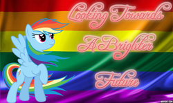 Size: 800x477 | Tagged: safe, rainbow dash, g4, female, gay pride, gay pride flag, image macro, lesbian, lgbt, lovewins, male, meme, obergefell v. hodges, pride, solo