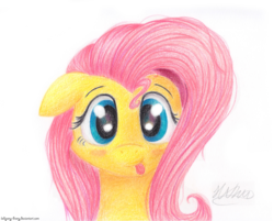 Size: 1280x1031 | Tagged: safe, artist:lollipony, fluttershy, pegasus, pony, g4, blushing, cute, female, floppy ears, looking at you, mare, shyabetes, simple background, solo, tongue out, traditional art, white background