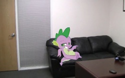 Size: 500x311 | Tagged: safe, spike, dragon, g4, my little pony: friendship is magic, princess spike, casting couch, male, solo