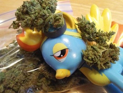 Size: 3264x2448 | Tagged: safe, spitfire, g4, drugs, funko, high res, irl, marijuana, photo, toy