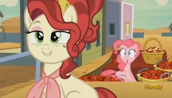 Size: 1224x698 | Tagged: safe, screencap, cherry jubilee, pinkie pie, earth pony, pony, g4, my little pony: friendship is magic, party pooped