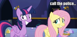 Size: 960x456 | Tagged: safe, screencap, fluttershy, twilight sparkle, alicorn, pony, g4, party pooped, female, image macro, mare, meme, twilight sparkle (alicorn)