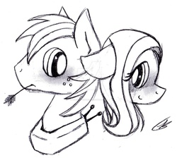 Size: 1280x1146 | Tagged: safe, artist:bracelet-wizard, big macintosh, fluttershy, g4, blushing, female, male, monochrome, ship:fluttermac, shipping, sketch, straight