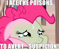 Size: 840x700 | Tagged: safe, edit, edited screencap, screencap, pinkie pie, earth pony, pony, mentally advanced series, g4, the cutie map, cropped, female, green face, image macro, mare, meme, nauseous, solo, sweat, sweatdrop, winnie the pink