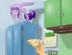 Size: 1584x1224 | Tagged: safe, alternate version, artist:atteez, twilight sparkle, alicorn, human, pony, g4, party pooped, arched back, behaving like a cat, calendar, cheese, cupboard, female, frown, hand, mare, offscreen character, quesadilla, raised hoof, scared, spread wings, they're just so cheesy, turophobia, twilight cat, twilight sparkle (alicorn), wide eyes