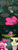 Size: 1000x2800 | Tagged: safe, artist:heir-of-rick, fluttershy, pinkie pie, miss pie's monsters, g4, comic, dialogue, flutterbat, saddle bag, scared, singing, species swap, startled, wide eyes