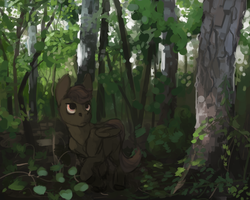 Size: 1280x1024 | Tagged: safe, artist:celestiawept, scootaloo, g4, female, forest, solo