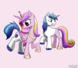 Size: 1900x1674 | Tagged: safe, artist:anearbyanimal, princess cadance, shining armor, hybrid, pony, g4, body swap, butt, clopfic, clopfic in the comments, duo, fanfic, fanfic art, fanfic cover, female, fimfiction, frown, gritted teeth, half, looking back, male, modular, partial body swap, plot, raised hoof, raised leg, rule 63, ship:shiningcadance, shipping, simple background, smiling, story in the comments, straight, transformation, transgender transformation, wanna trade?, wat, weird, what has magic done, wide eyes