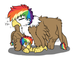 Size: 852x648 | Tagged: safe, artist:breezepleeze, oc, oc only, oc:rainbow feather, griffon, cute, fledgeling, interspecies offspring, magical lesbian spawn, offspring, parent:gilda, parent:rainbow dash, parents:gildash, plushie, sleepy, solo, young