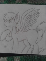 Size: 1536x2048 | Tagged: safe, artist:drawponies, oc, oc only, male, monochrome, traditional art, unleashed