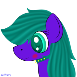 Size: 2500x2500 | Tagged: safe, artist:asknoxthepony, oc, oc only, oc:night hook, collar, high res, portrait, solo